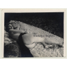 Elegant Brunette Nude With Black Cloth*8 / Risqué (Vintage Photo ~1940s/1950s)