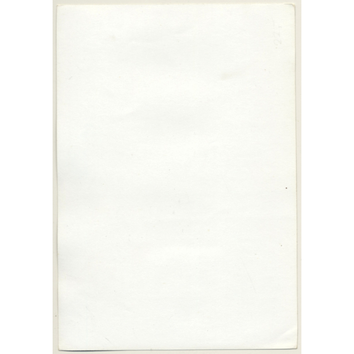 Shorthaired Semi Nude On Couch*3 / Butt - Risqué (Vintage Photo ~1950s)