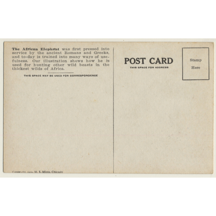 The African Elephant / M.J. Mintz (Vintage PC 1909)