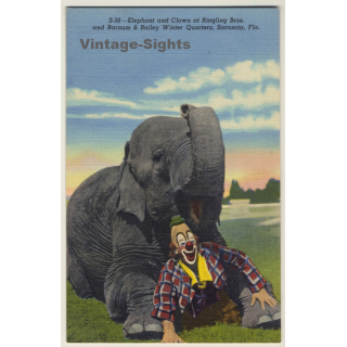 Elephant & Clown / Ringling Bros, Barnum & Bailey Winter Quarters (Vintage Linen PC 1940s)
