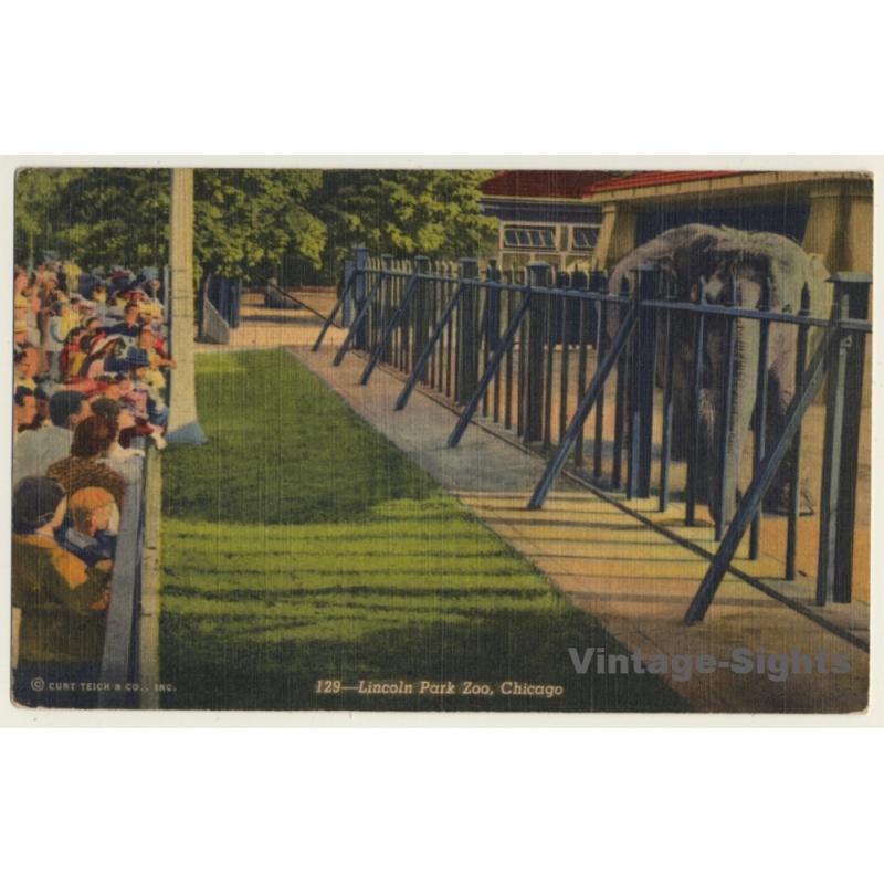 Lincoln Park Zoo, Chicago / Elephant (Vintage Linen PC ~1930s/1940s)