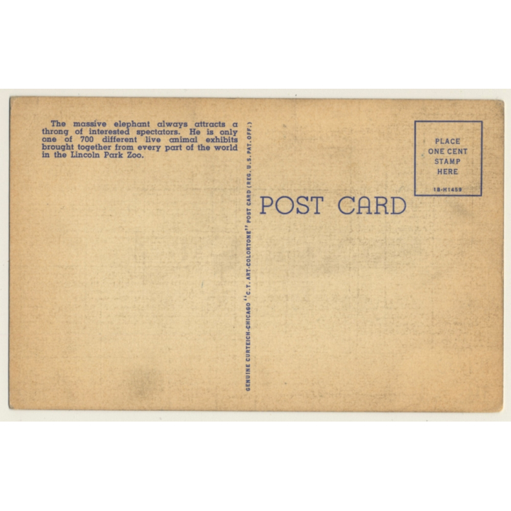 Lincoln Park Zoo, Chicago / Elephant (Vintage Linen PC ~1930s/1940s)