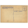 Lincoln Park Zoo, Chicago / Elephant (Vintage Linen PC ~1930s/1940s)