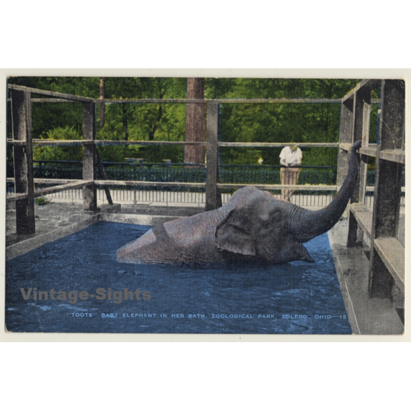 Baby Elephant Toots / Zoological Park Toledo (Vintage Linen PC ~1930s/1940s)