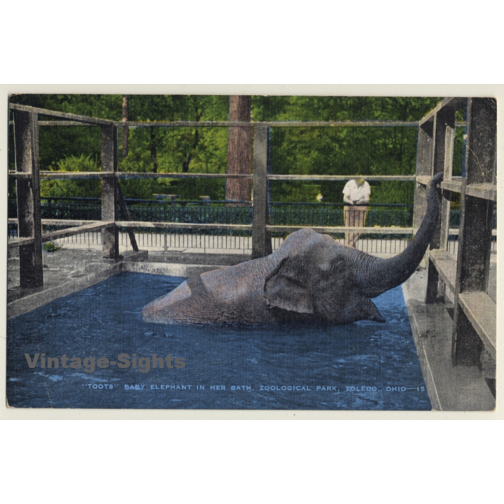 Baby Elephant Toots / Zoological Park Toledo (Vintage Linen PC ~1930s/1940s)