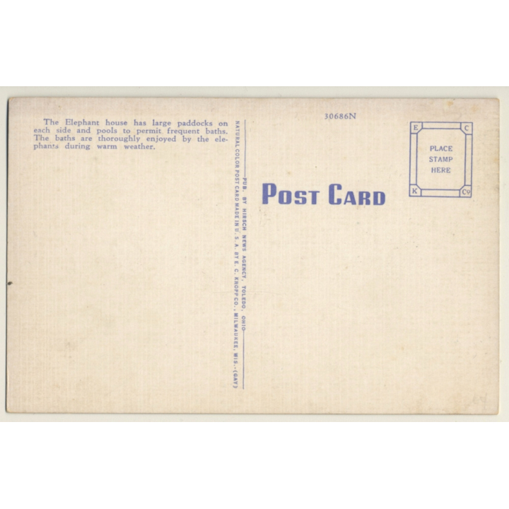 Baby Elephant Toots / Zoological Park Toledo (Vintage Linen PC ~1930s/1940s)