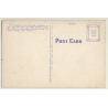 Baby Elephant Toots / Zoological Park Toledo (Vintage Linen PC ~1930s/1940s)