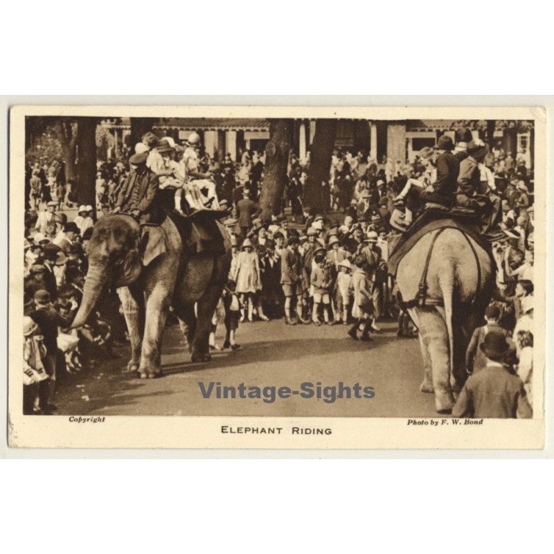 Elephant Riding - London Zoo / W.Bond  (Vintage PC)