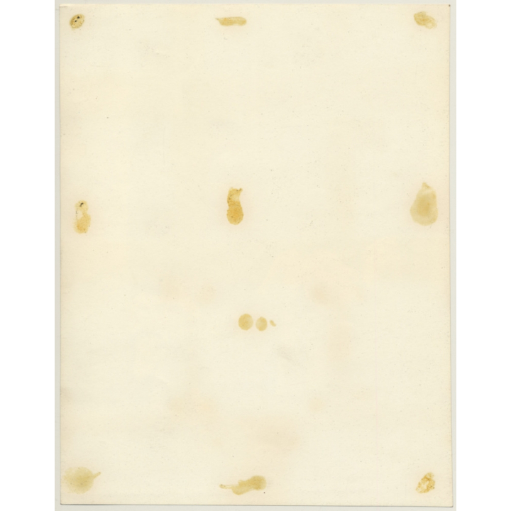 Bogota / Colombia: Street Kids Of Barrio Egipto (Large Vintage Photo 1957)