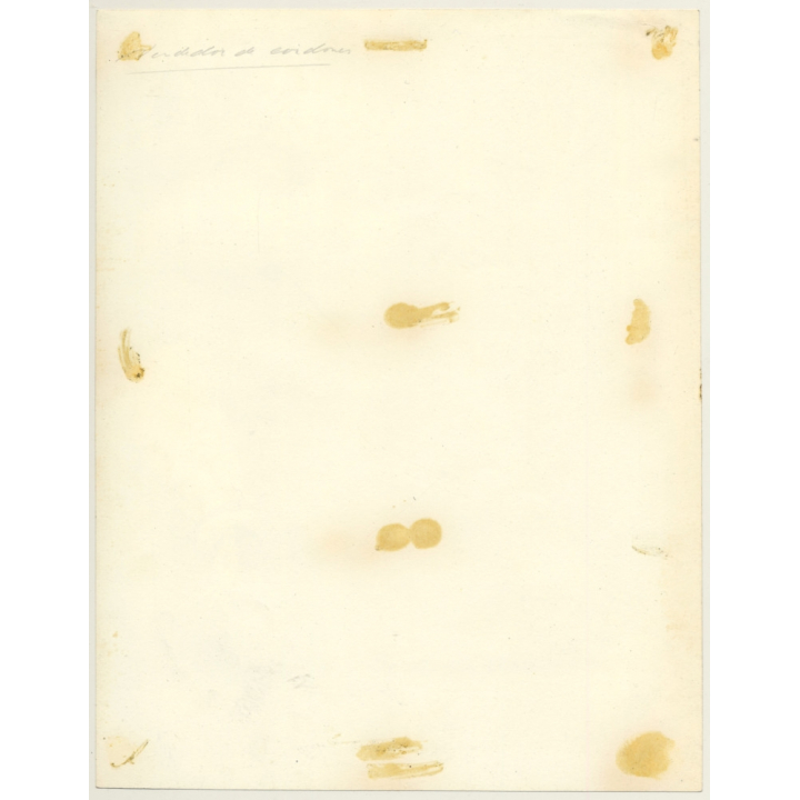 Bogota / Colombia: Vendedor De Cordones (Large Vintage Photo 1957)