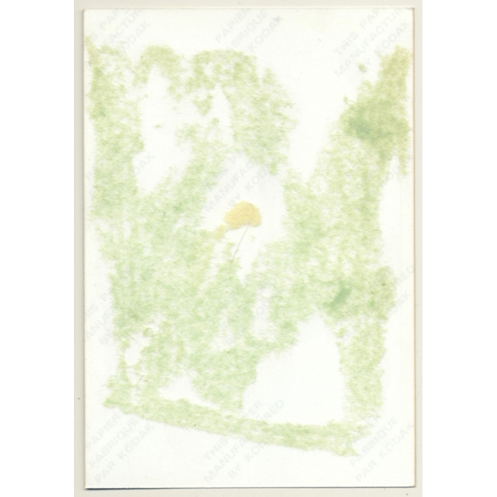 Skinny Redhaired Semi Nude / Bikini Panty (Vintage Photo Germany ~1980s)