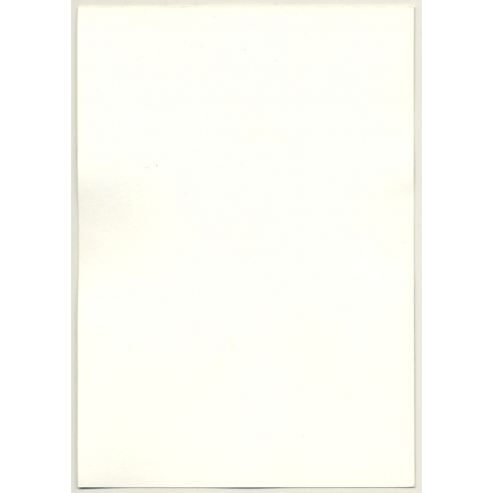 Rear View: Shorthaired Nude On Bed / Butt - Legs (Vintage Photo GDR ~1970s/1980s)