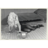 Petite Topless Blonde Maid / Handcuffs - Ball & Chain - BDSM (Vintage Photo ~1960s)