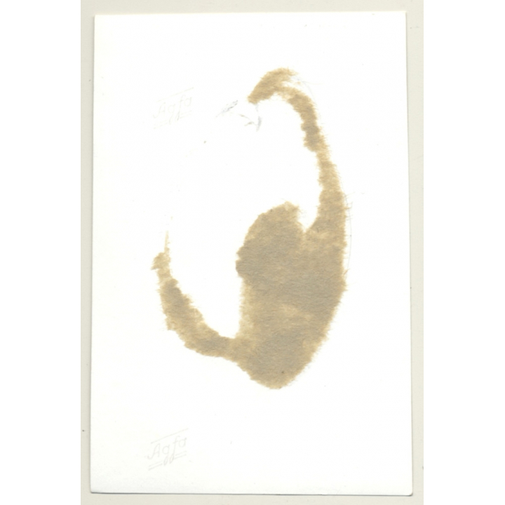 2 Females In Bondage / Full Face Mask - Arms Tied Behind Back / BDSM (2nd Gen.Photo ~1960s)