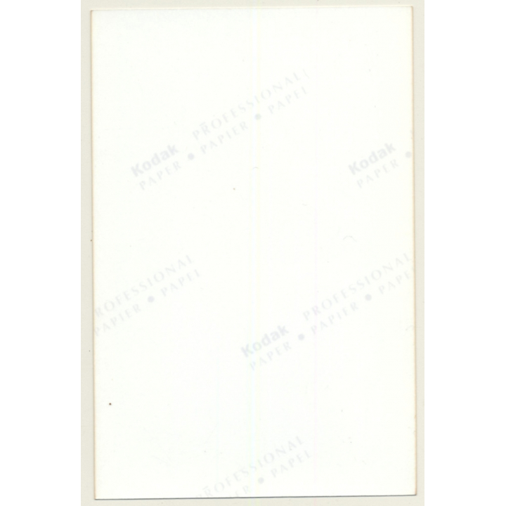 Stunning Brunette Nude Looking Out Window / Nylons - Garter (Vintage Photo ~1990s)