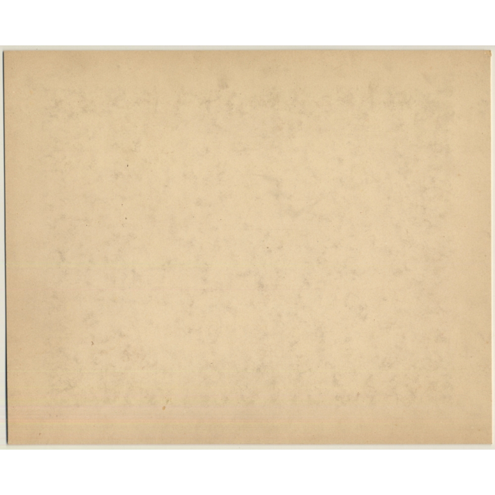 Italy: 168 Intra - Lago Maggiore (Vintage Albumen Print NESSI 1880s)