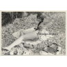 Natural Young Woman In Bikini*4 / Legs - Pin-up  (Vintage Photo Germany ~1960s)