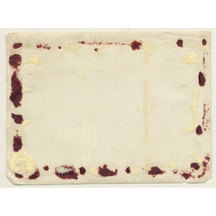 Carnaval Belge: Défilé - Carnaval Char - Chevaux (Vintage Albumen Print ~1900s/1910s)