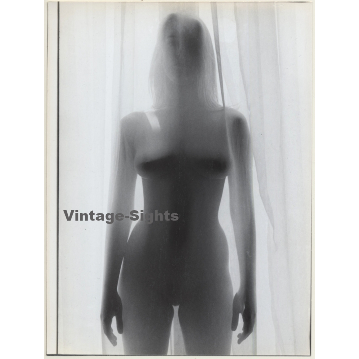 Slim Busty Nude Behind Transparent Curtain*1 (Vintage Photo 1980s)