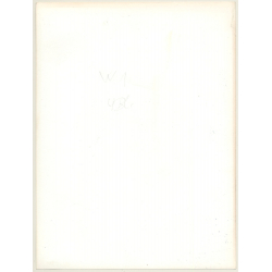 Slim Busty Nude Behind Transparent Curtain*1 (Vintage Photo 1980s)