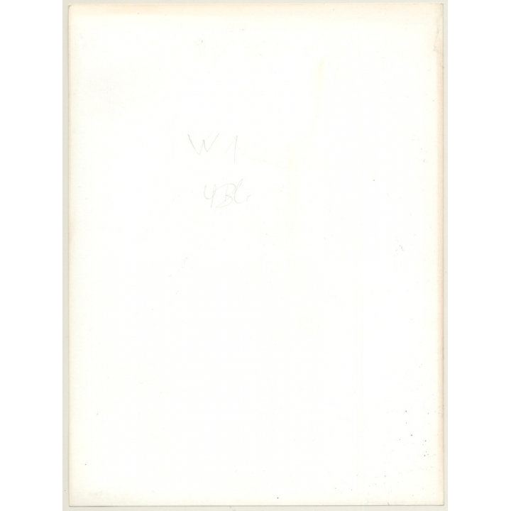 Slim Busty Nude Behind Transparent Curtain*1 (Vintage Photo 1980s)