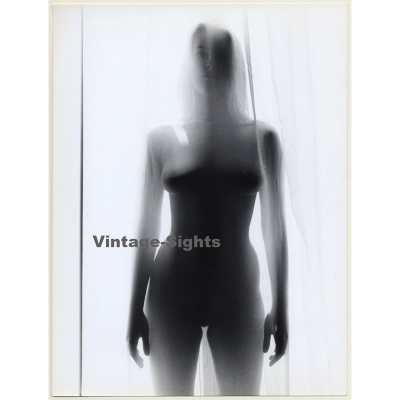 Slim Busty Nude Behind Transparent Curtain*2 (Vintage Photo 1980s)