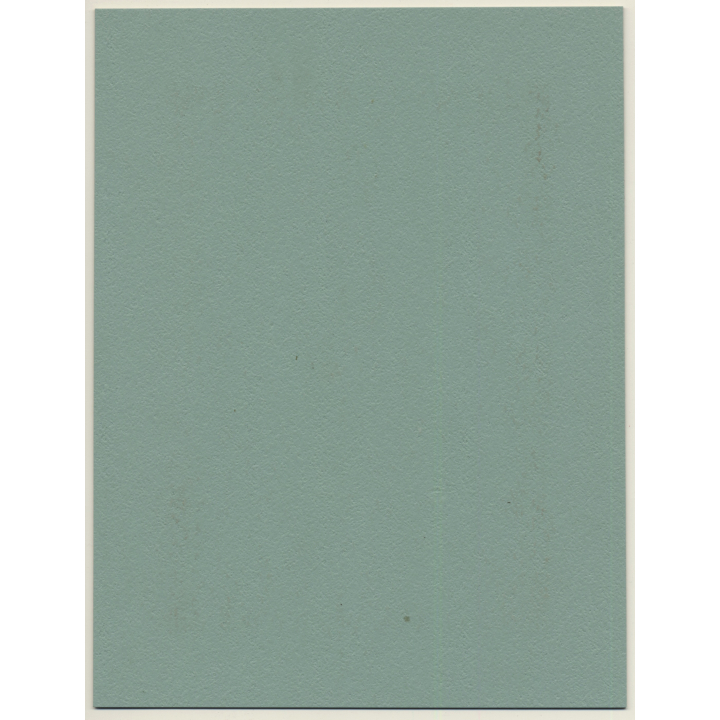 Jerri Bram (1942): Portrait Of Pretty Young Natural Woman (Vintage Photo ~1970s)