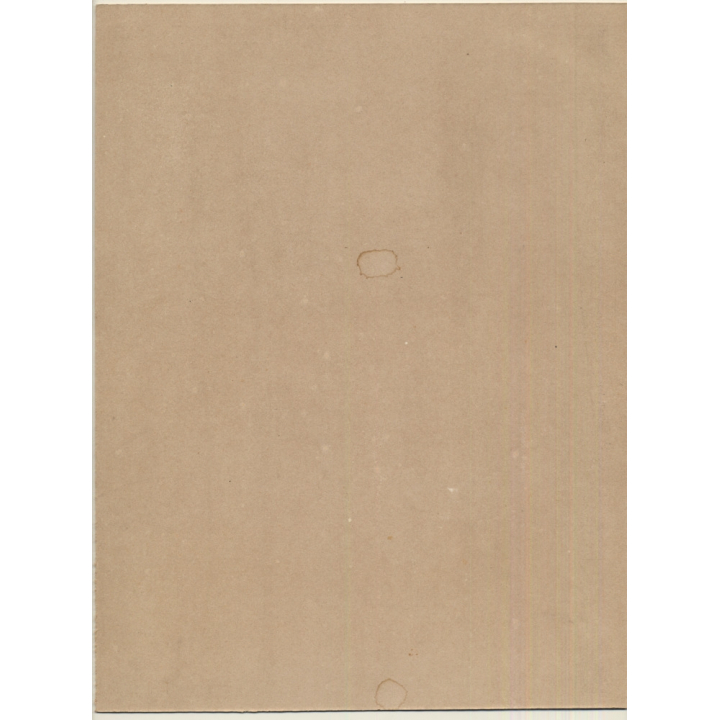 J. Falque: 2 Victorian Couples Walking In Birch Forest (Vintage Photo 1893)