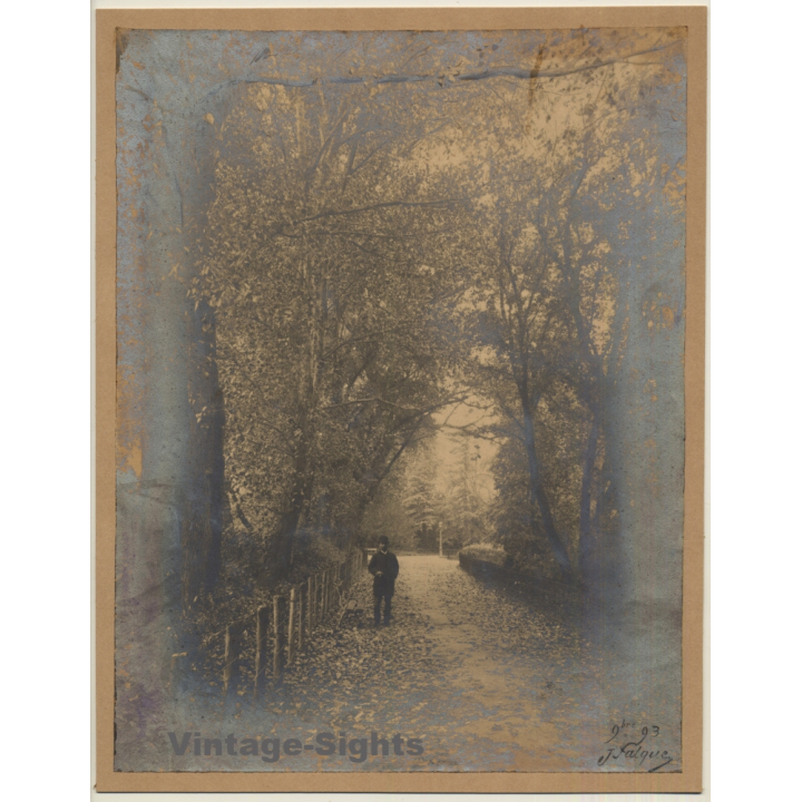 J. Falque: Elegant Man In Forest Alley (Vintage Photo 1893)