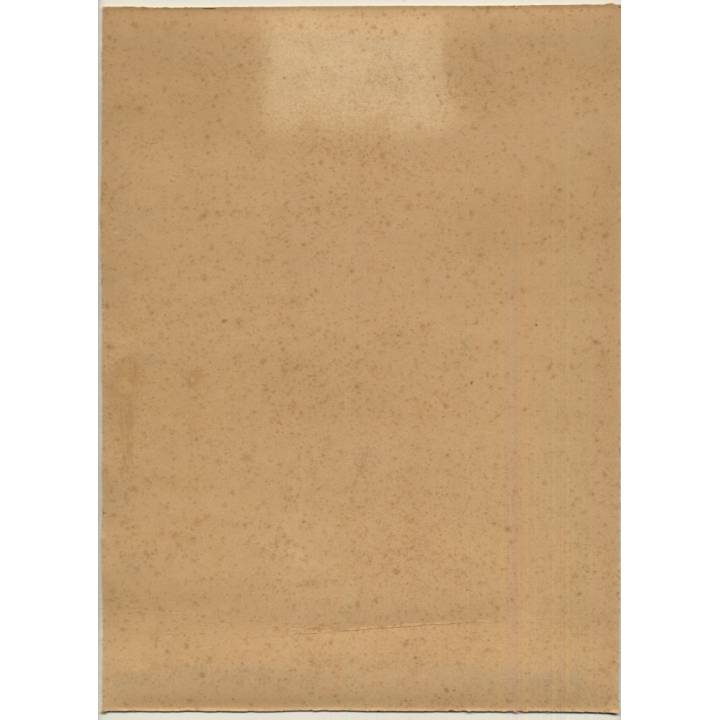 J. Falque: 2 Dogs In Birch Forest / Epagneul Breton (Vintage Photo 1890s)