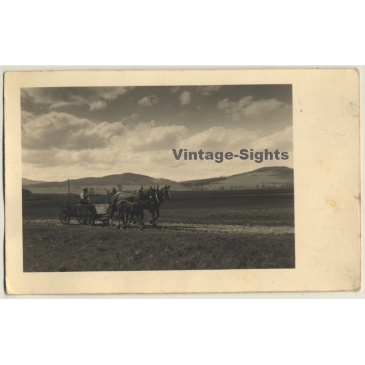 German Farmer On Two-Horse Carriage + Pony (Vintage RPPC ~1930s/1940s)