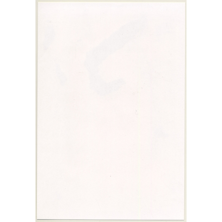 Lydia Nash / Bruxelles: Sleeping Street Dog At Roadside (Vintage Photo 1980s)