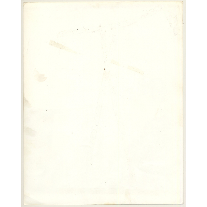 Lydia Nash / Bruxelles: 3 Stray Cats In Andalusia / Still Life (Vintage Photo 1980s)