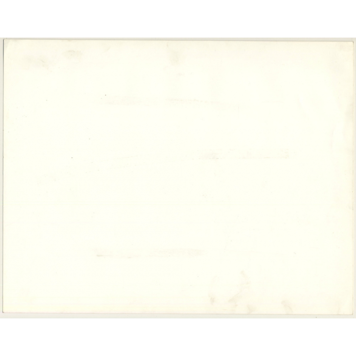 Lydia Nash / Bruxelles: Little Kitten On Finca Floor / Baby Cat (Vintage Photo 1980s)