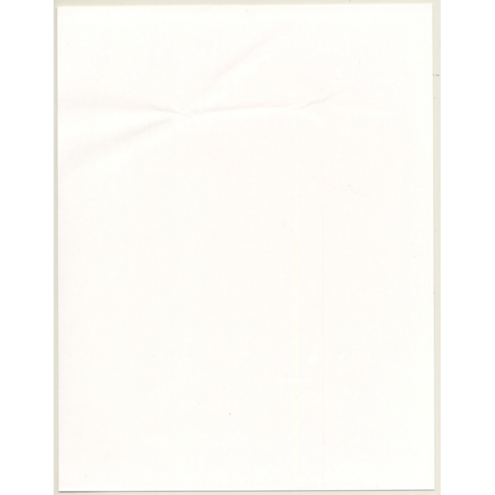 Lydia Nash / Bruxelles: 2 Cats Looking Through Old Window (Vintage Photo 1980s)