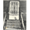 Lydia Nash / Bruxelles: Cat On Staircase In Front Of Door (Vintage Photo 1980s)