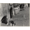 Lydia Nash / Bruxelles: Street Cat On Side Walk / Cobblestones (Vintage Photo 1980s)