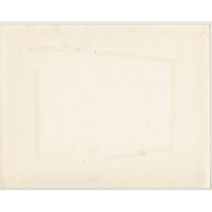 Lydia Nash / Bruxelles: Street Cat On Side Walk / Cobblestones (Vintage Photo 1980s)