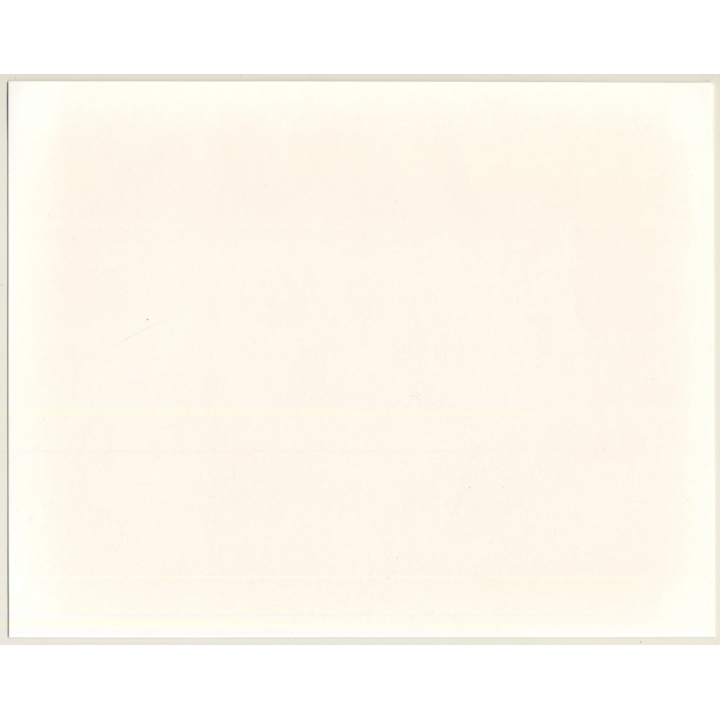 Lydia Nash: English Bulldog On Leash / Tongue Out (Large Vintage Photo 1980s)