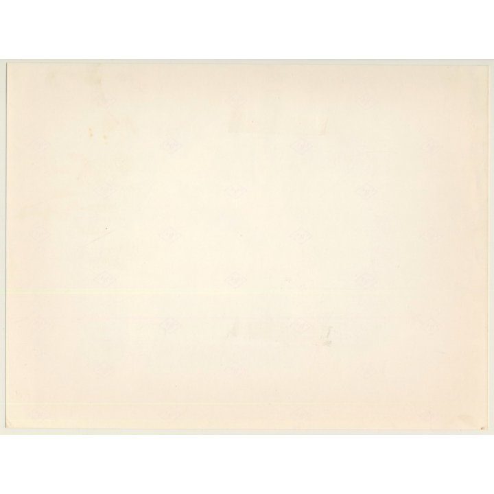 Lydia Nash: English Bulldog On Leash*2 / Tongue Out (Large Vintage Photo 1980s)