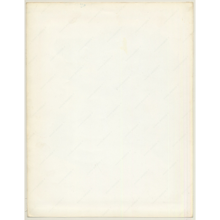 Lydia Nash: Sweet Dachshund / Teckel (Large Vintage Photo 1980s)