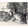 Lydia Nash: Old Dachshund / Teckel / Bone - Kilt (Large Vintage Photo 1980s)