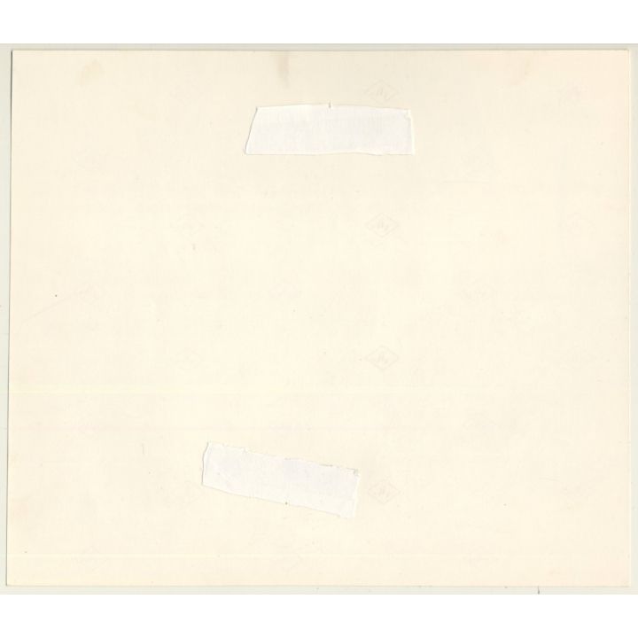 Lydia Nash: Old Dachshund / Teckel / Bone - Kilt (Large Vintage Photo 1980s)