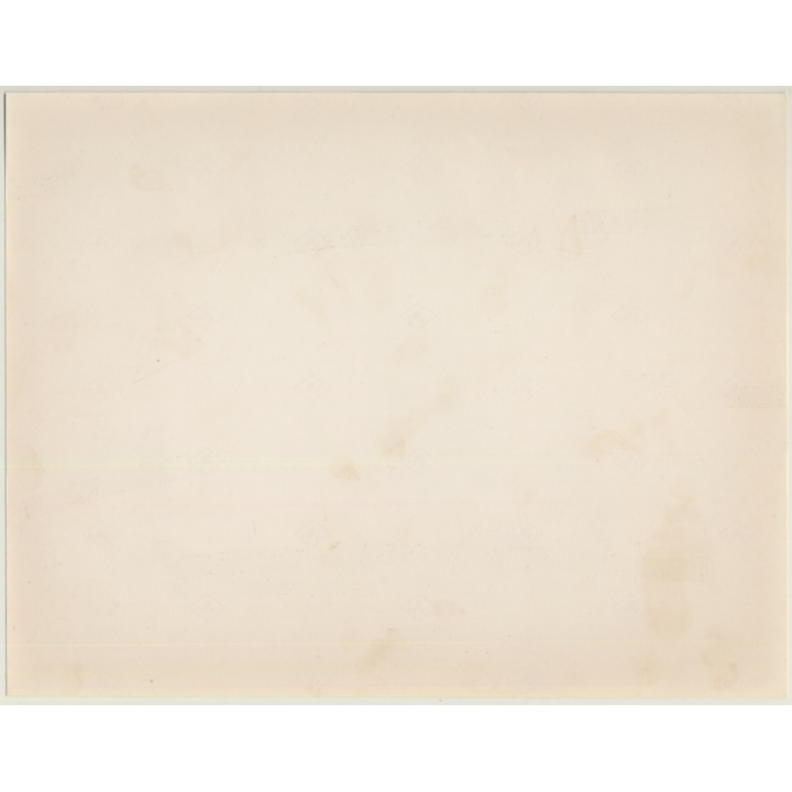 Lydia Nash: View On Horse Through Window (Large Vintage Photo 1980s)