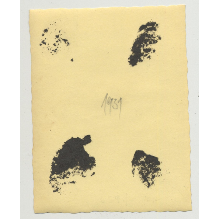 2 Blonde Sisters & Teddy Bear Sit On Wall (Vintage Photo 1931)