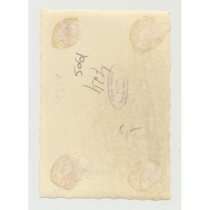 Female Curlyhead & Her Teddy Bear Out In The Free (Vintage Photo 1950s/60s)