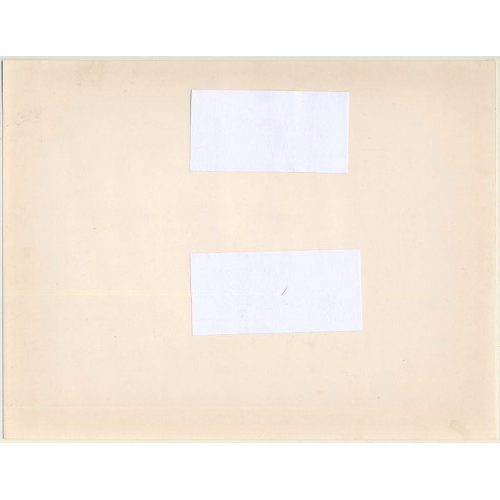 Lydia Nash: Basset Hound - Hush Puppy - Denim (Large Vintage Photo 1980s)