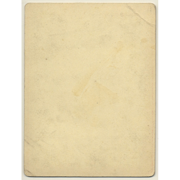 Elegant Woman In Victorian Dress / Lakeside (Vintage Cabinet Card ~1880s/1890s)