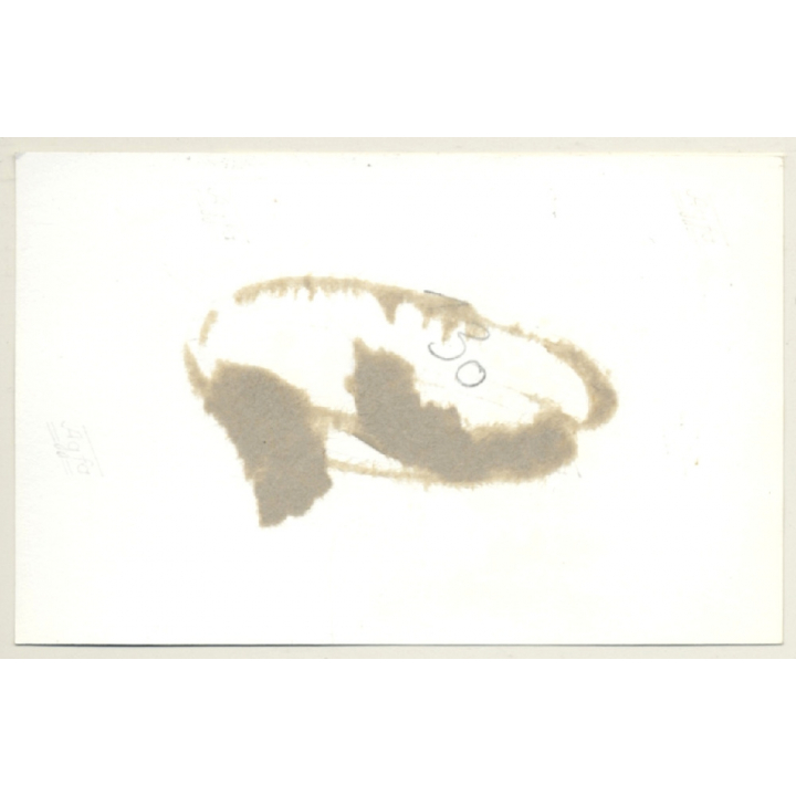 Blonde Maid Tied To Rack / Bondage - BDSM (2nd Gen.Photo ~1960s)