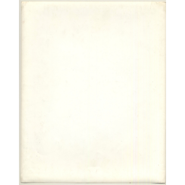 G. Friedlander: Trumpeters Of The Royal Guard / Tuba (Large Vintage Photo UK ~1970s)